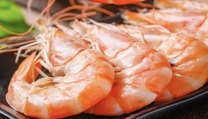 青岛大虾是什么虾 青岛大虾属于什么虾