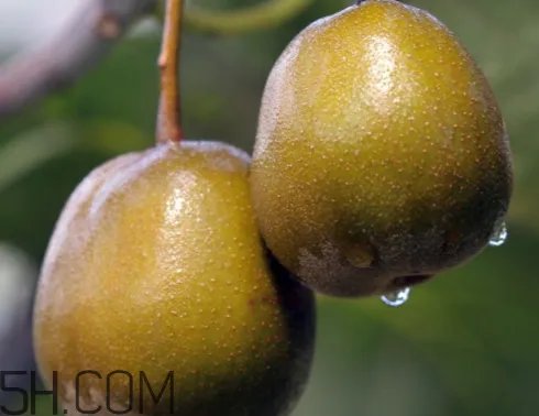 红心猕猴桃是哪里产的 红心猕猴桃产地