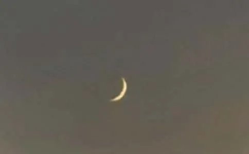 小猴子捞月亮故事