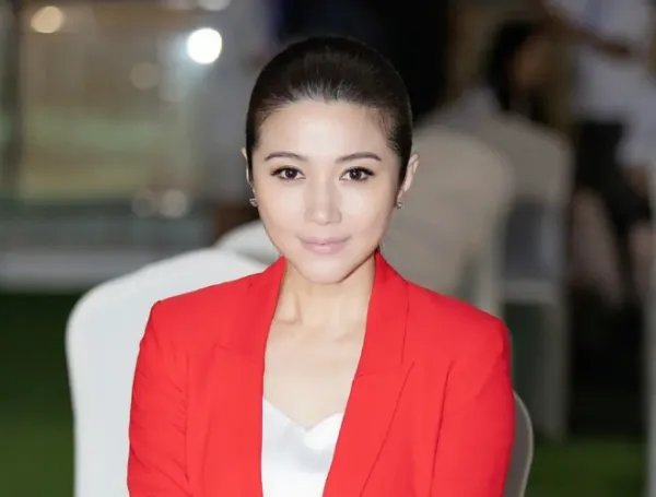 颜丙燕演过的所有电视剧