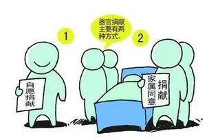 6岁女孩去世捐器官救5人，她捐献的精神有感动到你吗？