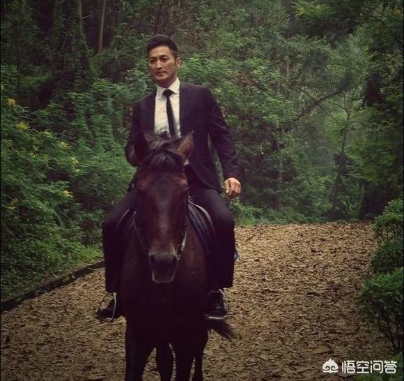 何家劲一生中演过多少部电视剧？