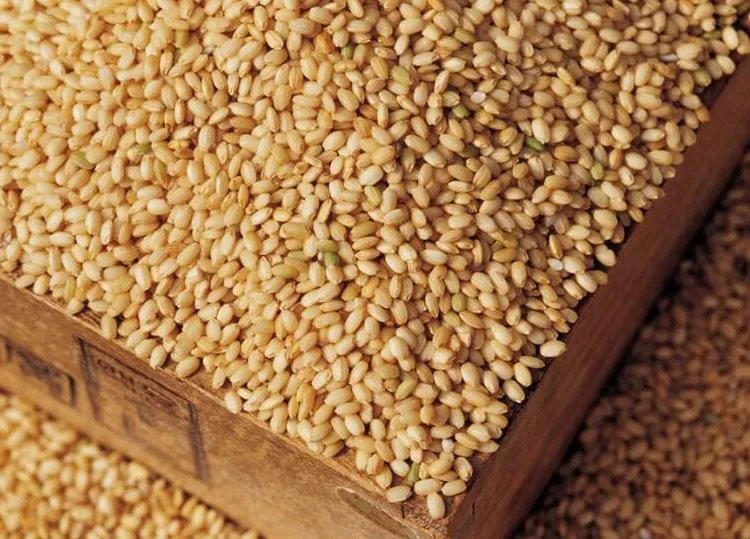 糙米的功效与作用