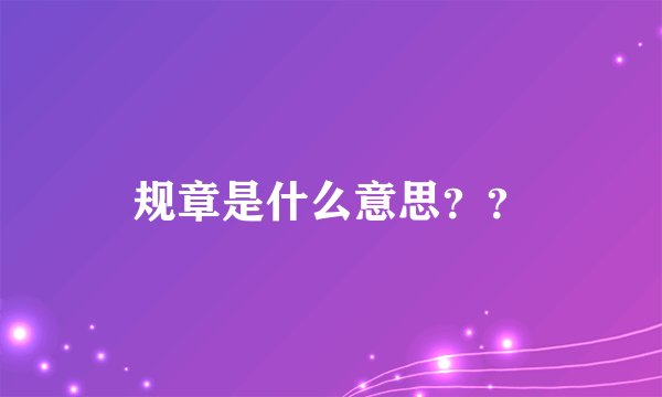 规章是什么意思??