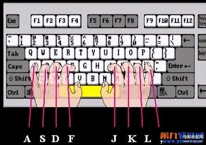 电脑键盘全图详细(电脑键盘各功能示意图)