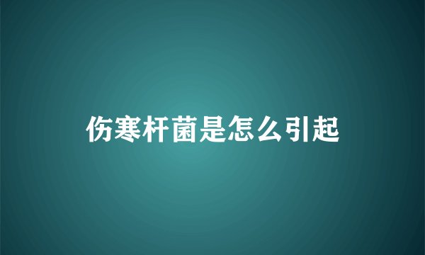 伤寒杆菌是怎么引起