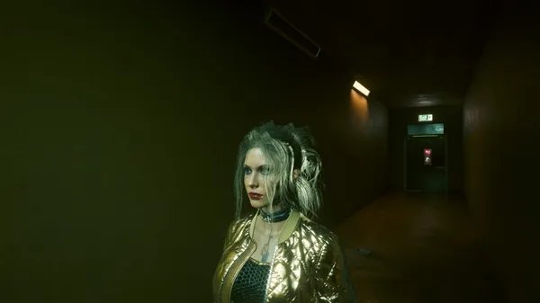 《赛博朋克2077》金发美女捏脸数据分享