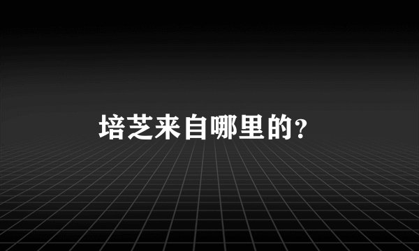培芝来自哪里的？