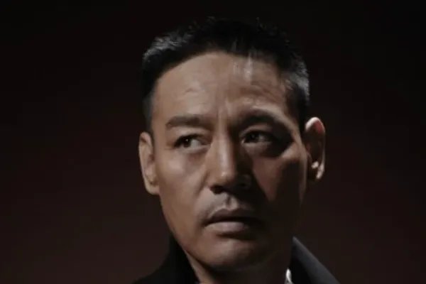 巍子主演电视剧大全集