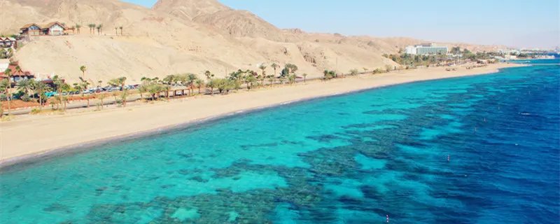 郑和下西洋最远到达哪里 郑和下西洋最远到达哪里到过多少个国家