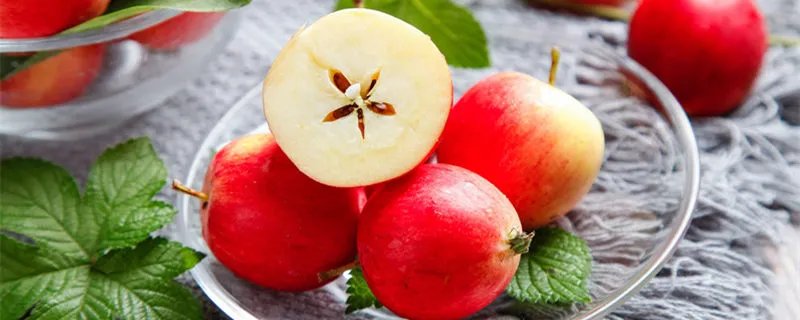 沙果是什么水果