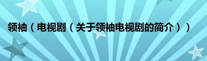 领袖(电视剧(关于领袖电视剧的简介))