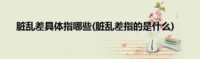 脏乱差具体指哪些(脏乱差指的是什么)