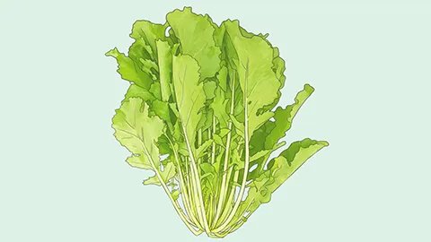 吹风机有辐射吗