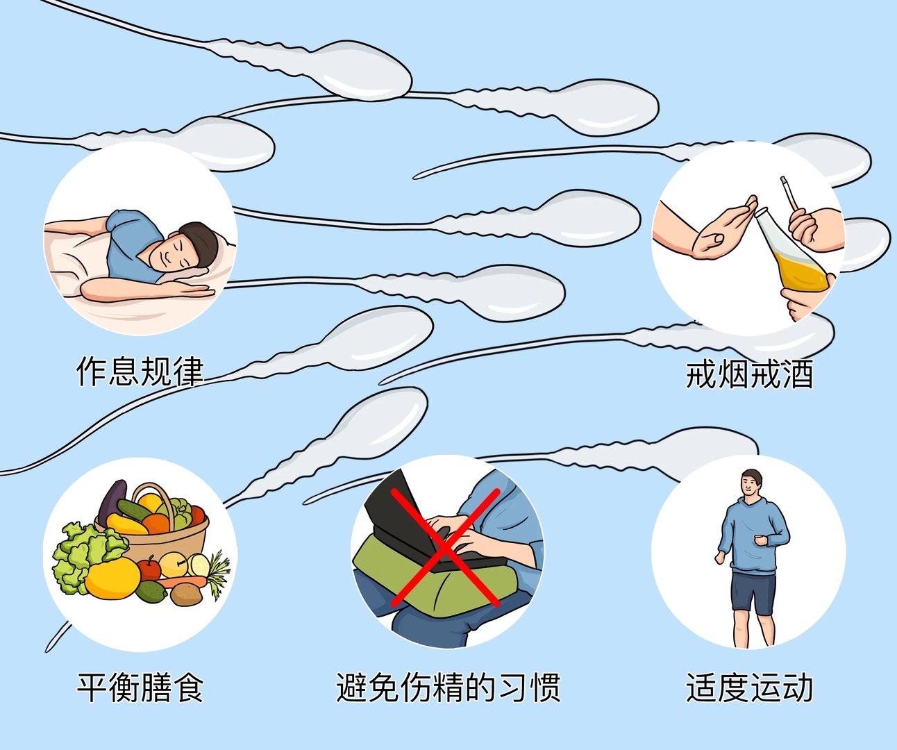 如何增加精子质量