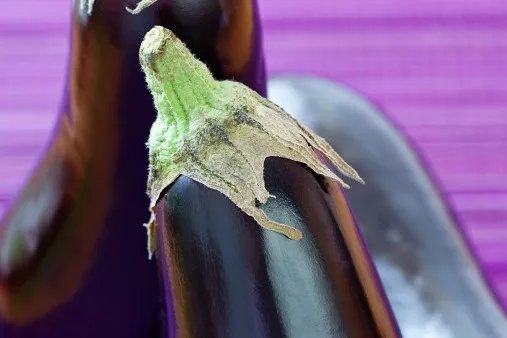 茄蒂的功效与作用