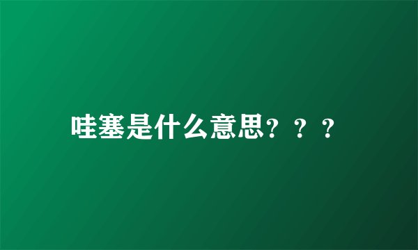 哇塞是什么意思？？？