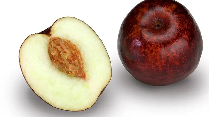 贫血的人吃什么补血最快