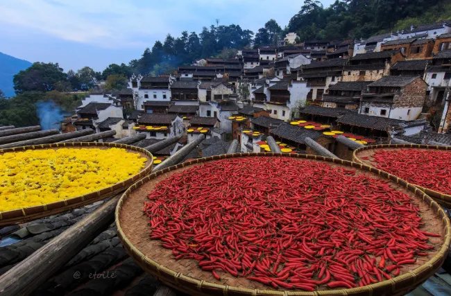 六月初六是什么节日 六月初六是传统节日吗