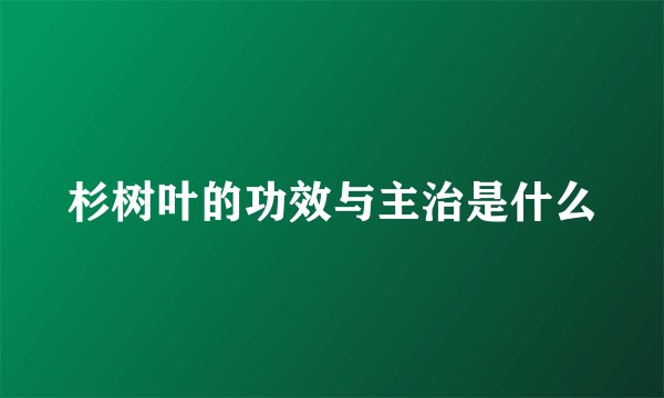 杉树叶的功效与主治是什么