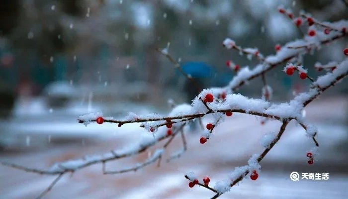 零落成泥碾作尘出自