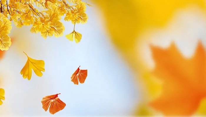 立秋有什么讲究