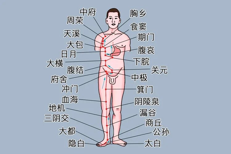 人体足部按摩经络位置图