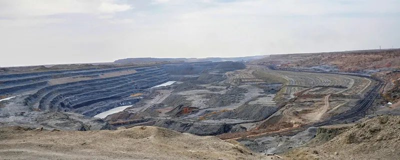 江西七朵金花是什么 七朵金花代表什么