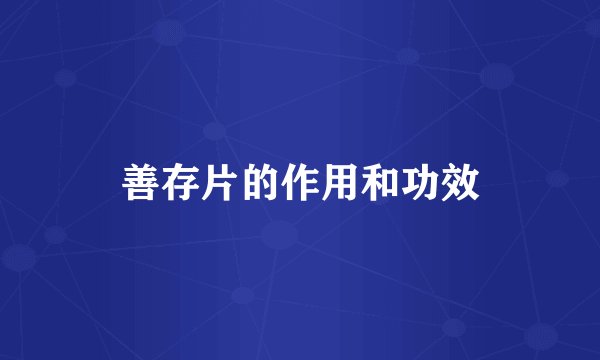 善存片的作用和功效