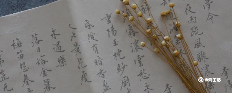 会晤是什么意思