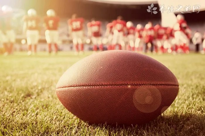 兔儿伞的功效与作用