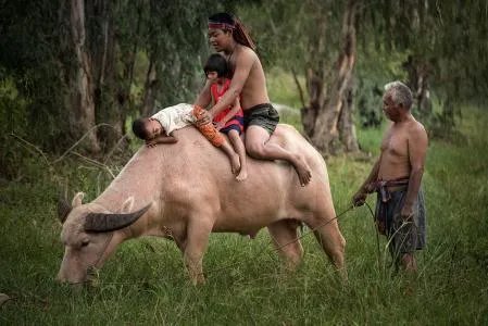 你的dream car是什么?