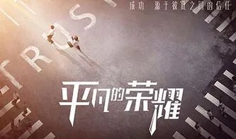 平凡的荣耀这部剧的豆瓣评分是多少?