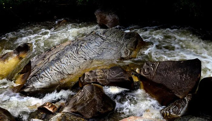 玉树在哪里 玉树属于哪里