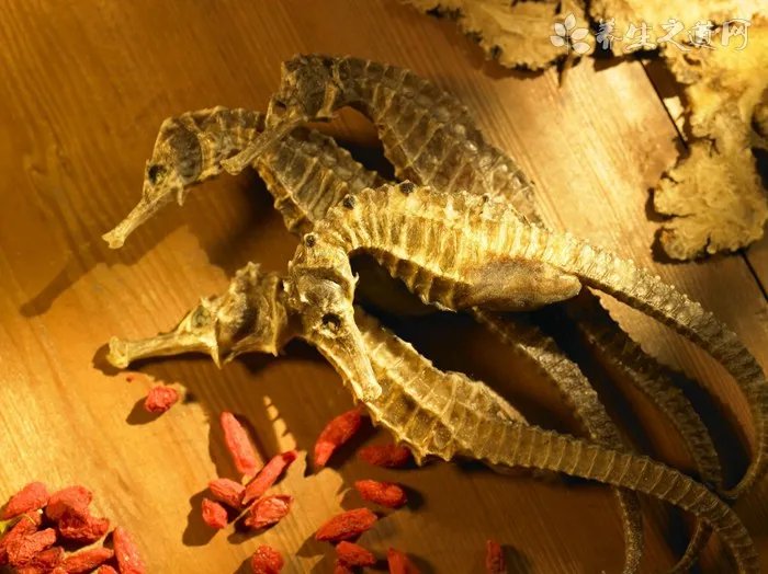 吊灯花的药用价值_吊灯花的副作用