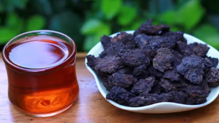 杨梅树皮的功效与作用