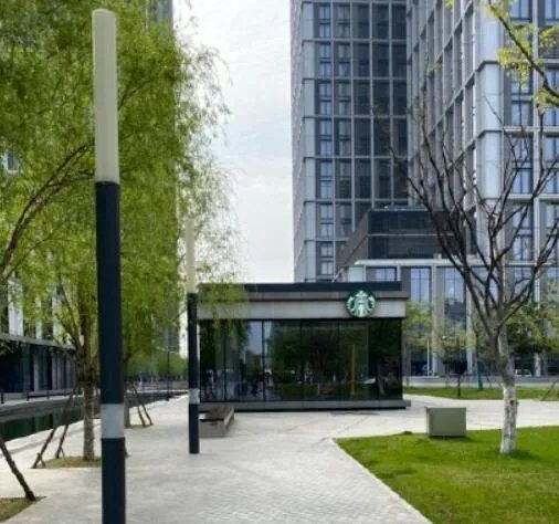 柳絮是柳树的什么 柳絮是柳树的花还是种子