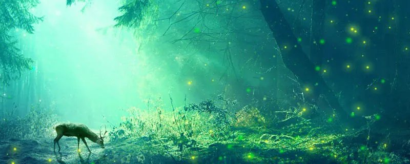 那种动物没有方向感 什么动物最没有方向感方向