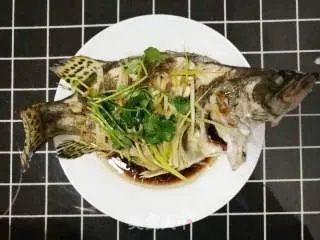 清蒸鲑鱼
