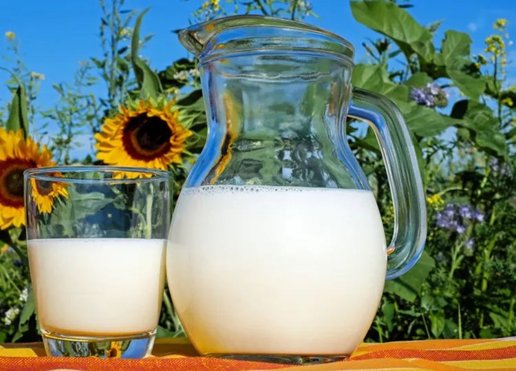 牛奶的功效与作用