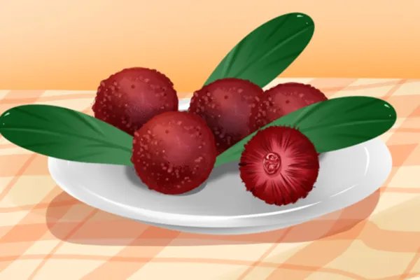 乌梅的功效与作用及食用方法