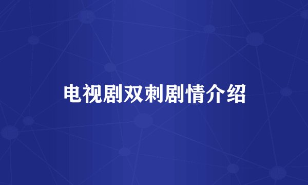 电视剧双刺剧情介绍