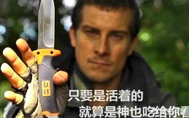 鞭蛛那么大只,蟑螂遇到它能保命吗?鞭蛛到底有多厉害?