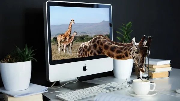 2022年放假安排:春节前和国庆后均连上7天班 连续高强度工作你身体受得了吗?