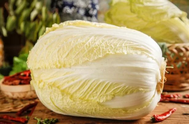 白菜属于什么科 白菜的科属是什么