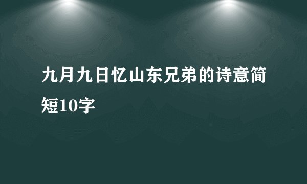 九月九日忆山东兄弟的诗意简短10字
