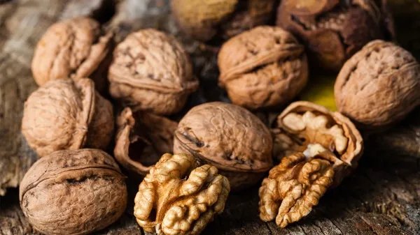 日常壮阳的食物有哪些?壮阳食物家常菜谱大全