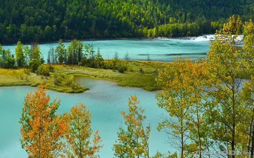 国家森林城市个数有多少个？历年国家森林城市名单一览