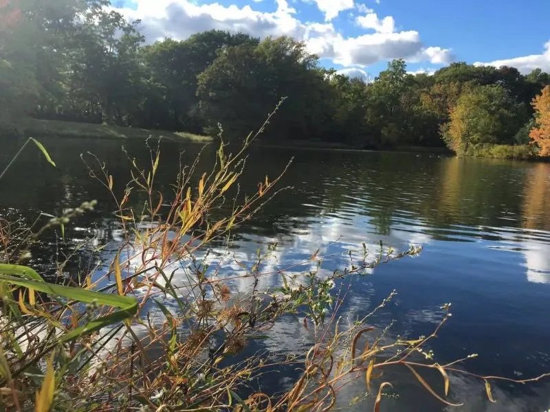 关于“营养”的几个小知识