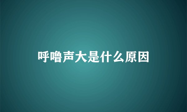 呼噜声大是什么原因